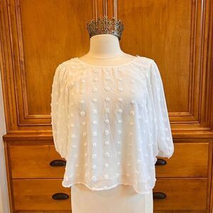 ASTR The Label White Bubble Sheer Cropped Blouse Size Medium NWT